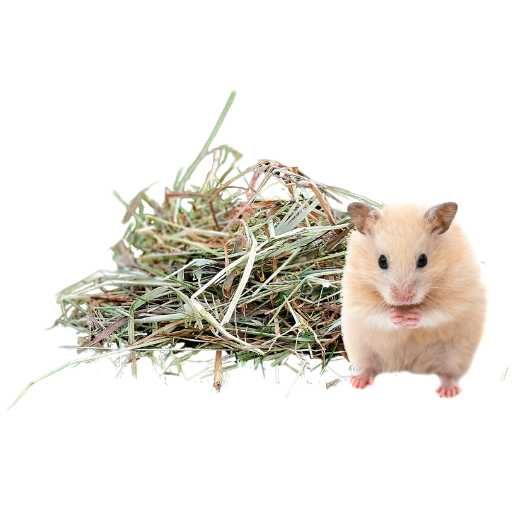 Siano dla chomika łąkowe z pierwszego pokosu 500g drobna frakcja