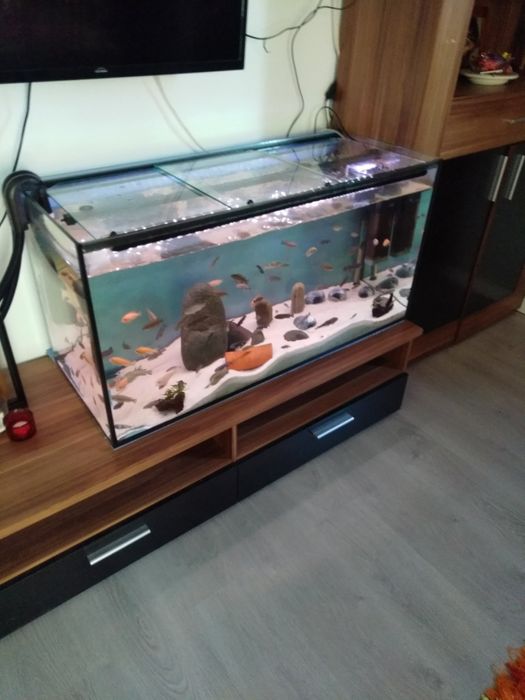 Vendo aquário como novo