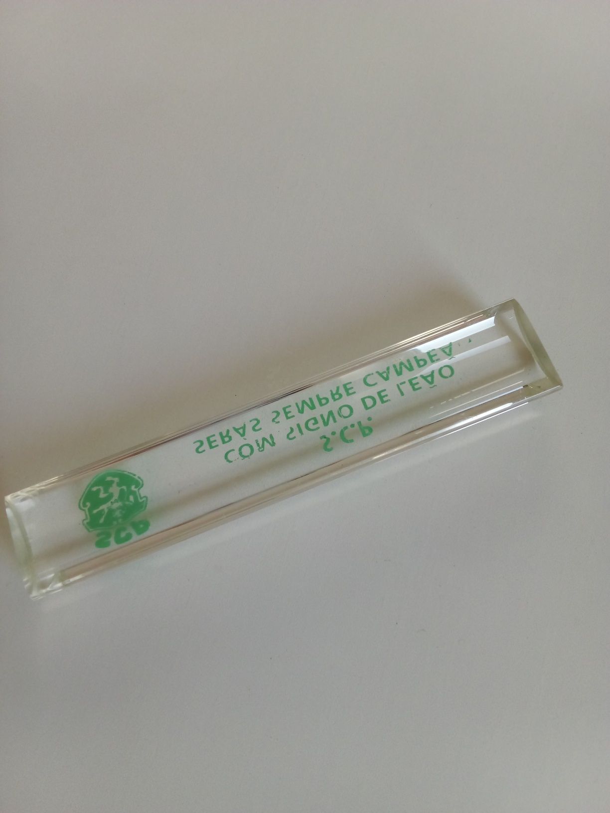 Sporting pisa papéis