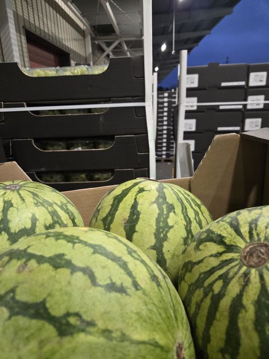 Oddam pokarm dla zwierząt