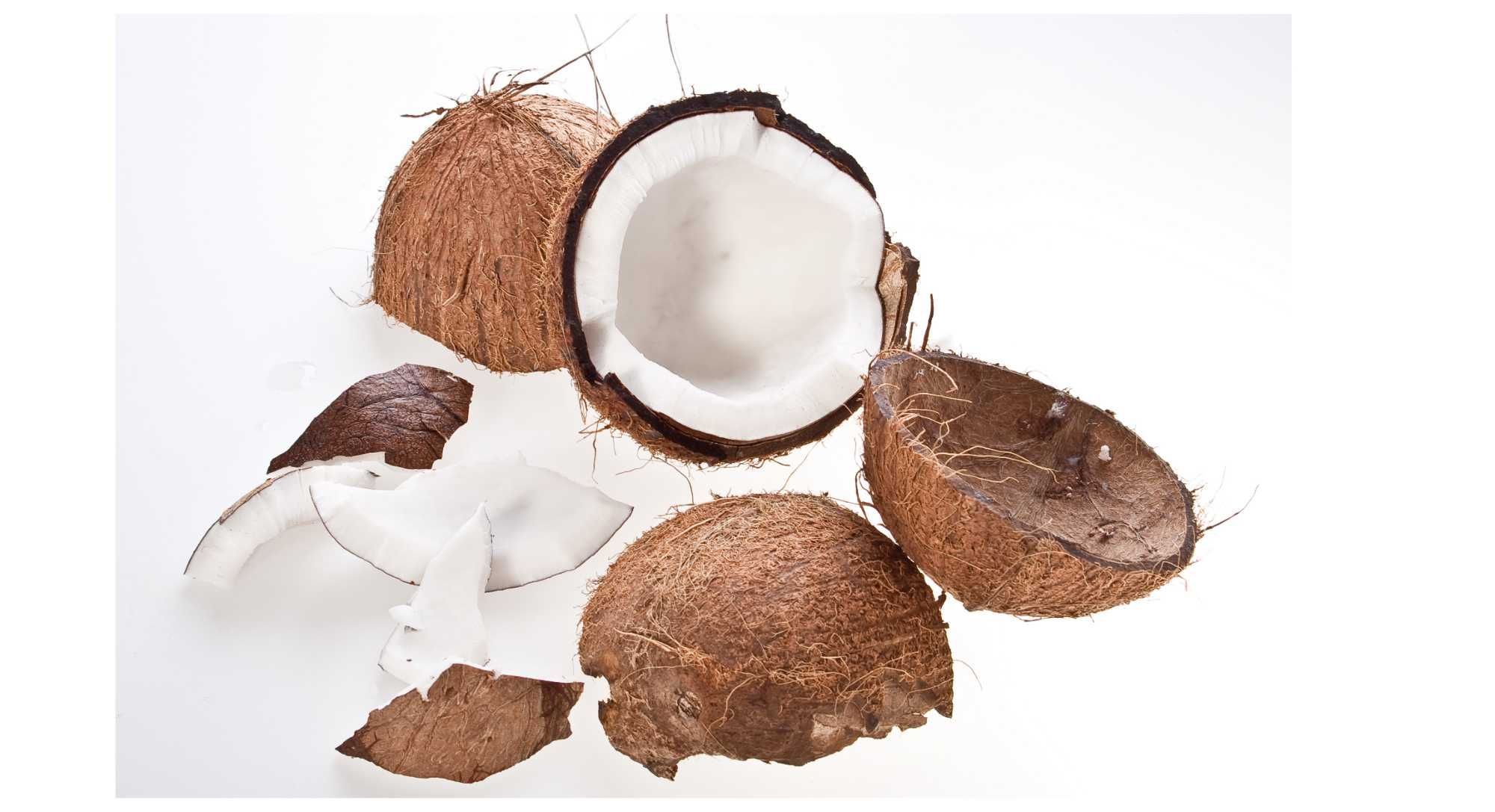Materac Piankowy z potrójną warstwą kokosu Twardy