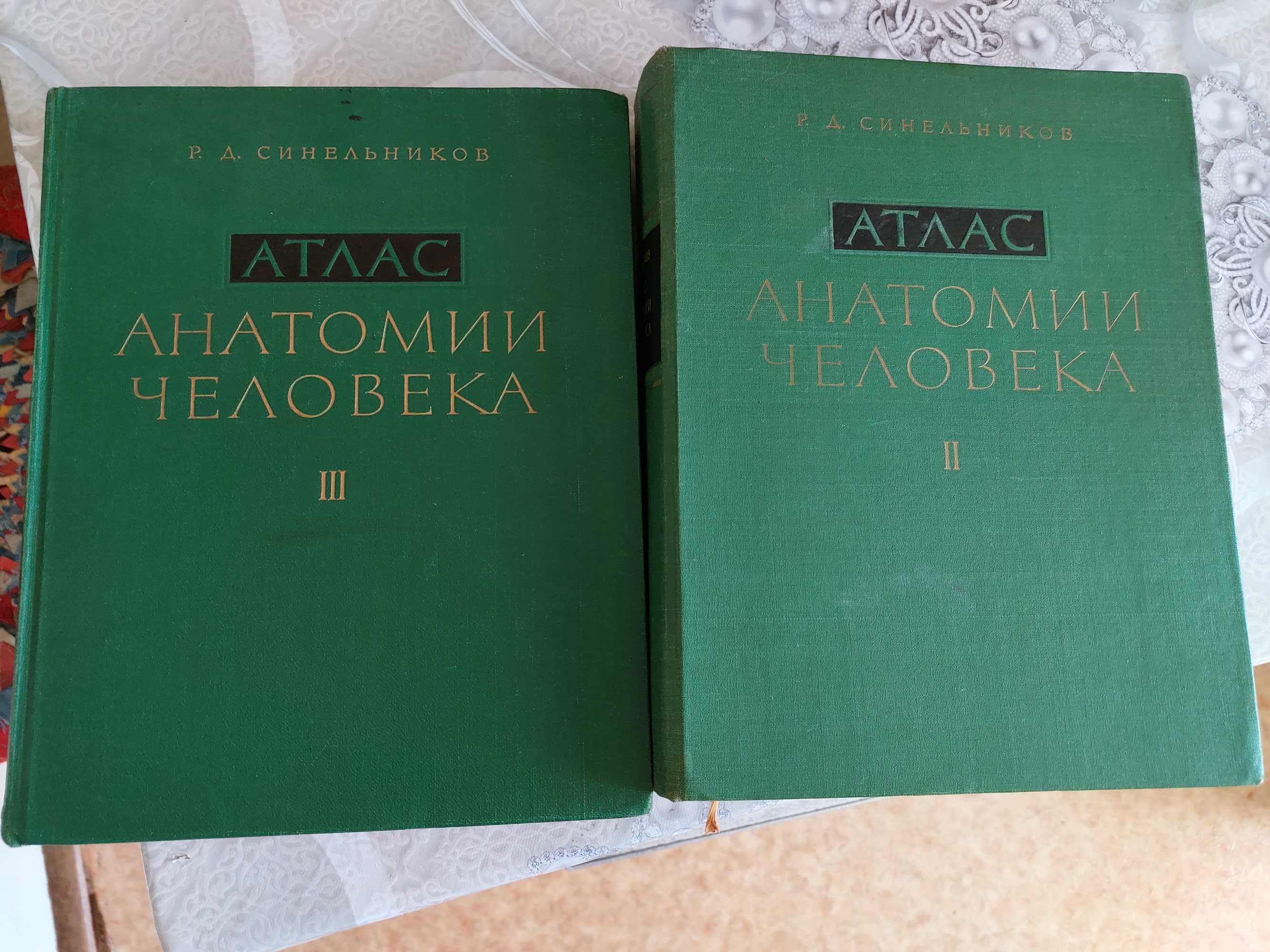 Синельников Атлас анатомии человека