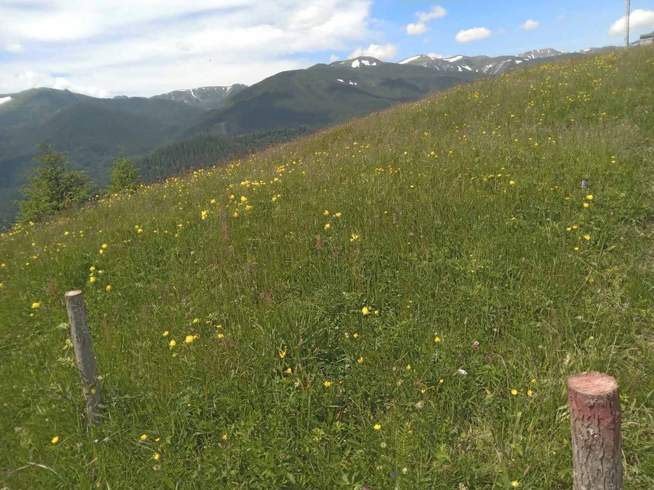 Продаж земельної ділянки