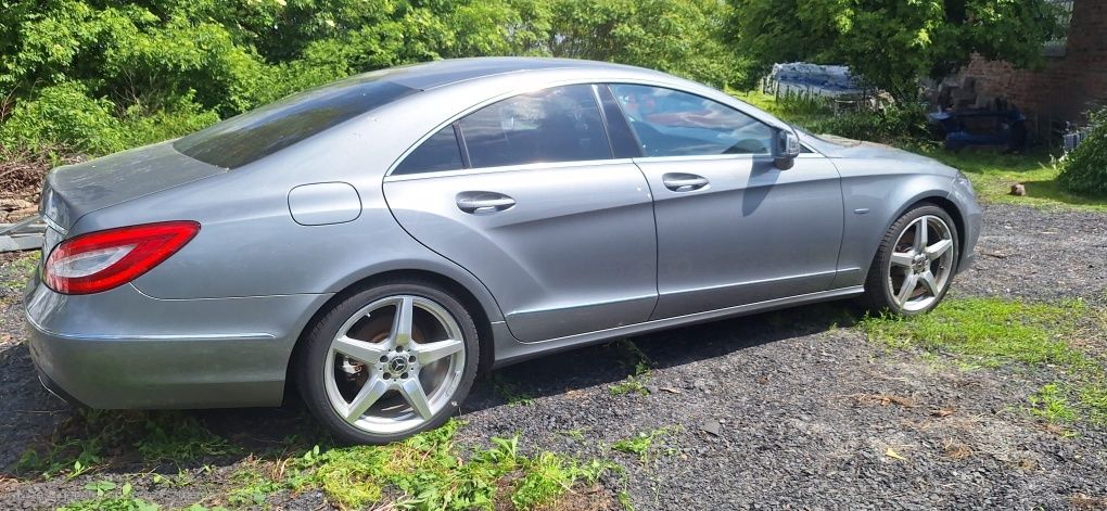 CLS do sprzedania