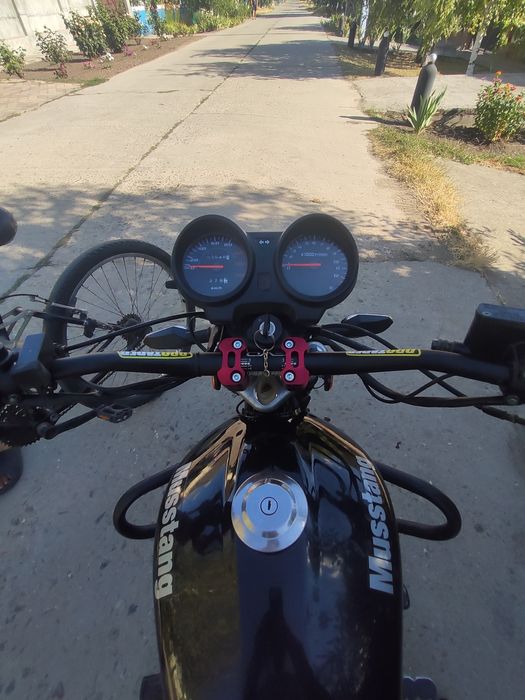 MUSTANG FIT 125-8. Alpha