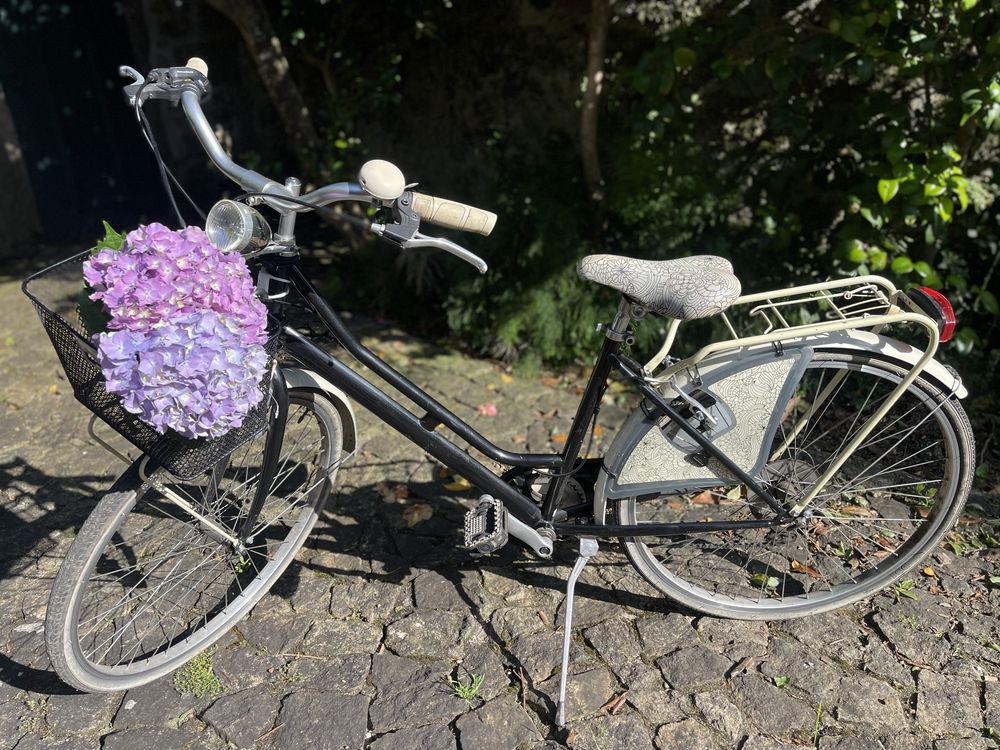 Bicicleta citadina