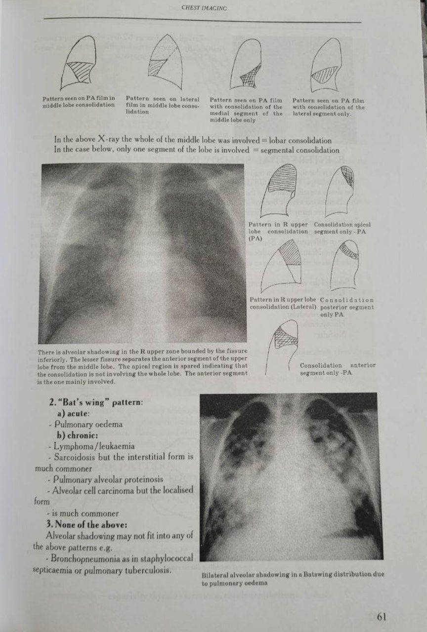 Diagnostic Radiology / Діагностика в Радіології. N. Pilipenko.