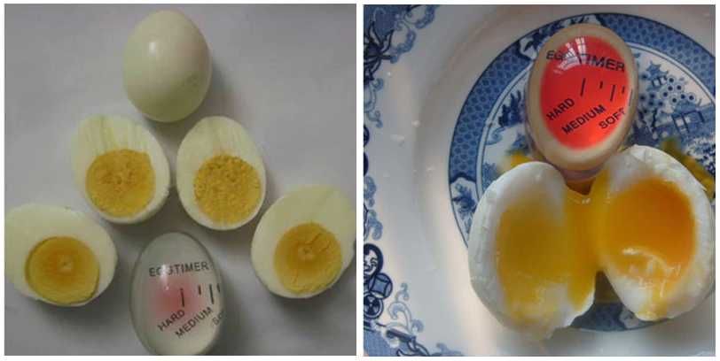 Minutnik kuchenny timer do gotowania jajek jajko