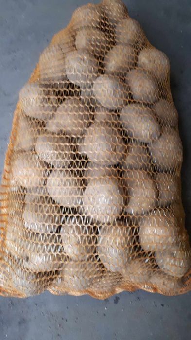 Ziemniaki jadalne odmiany Soraya, Lilly, Edison, Queen Anne.