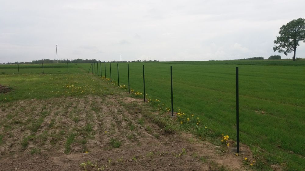 Ogrodzenie z siatki siatka ogrodzeniowa