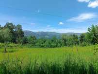 Terreno Rústico com 16.900 m² no Coração da Natureza