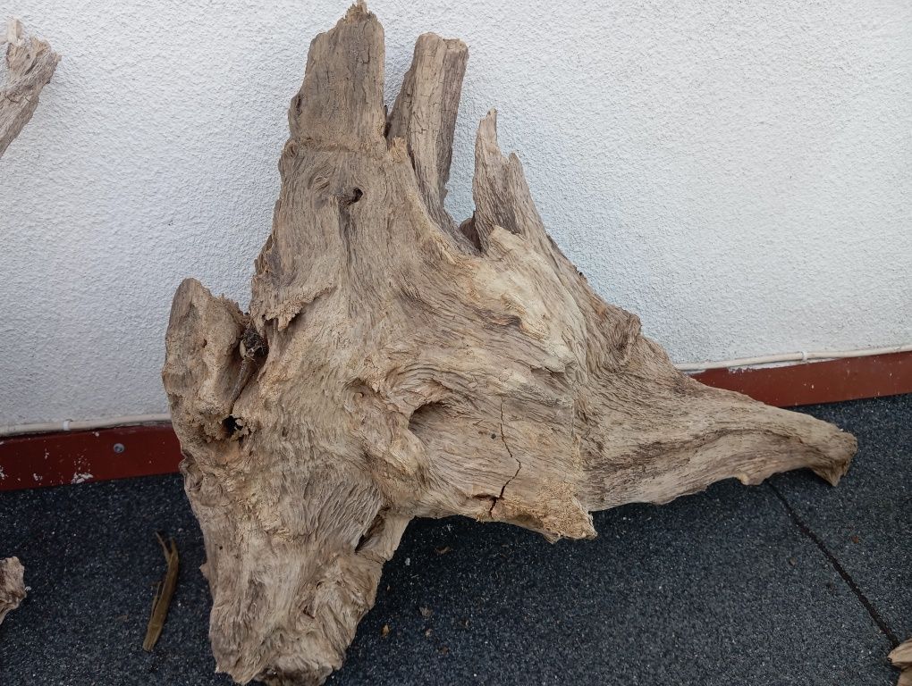 Korzenie do akwarium cd ,terrarium duży wybór !