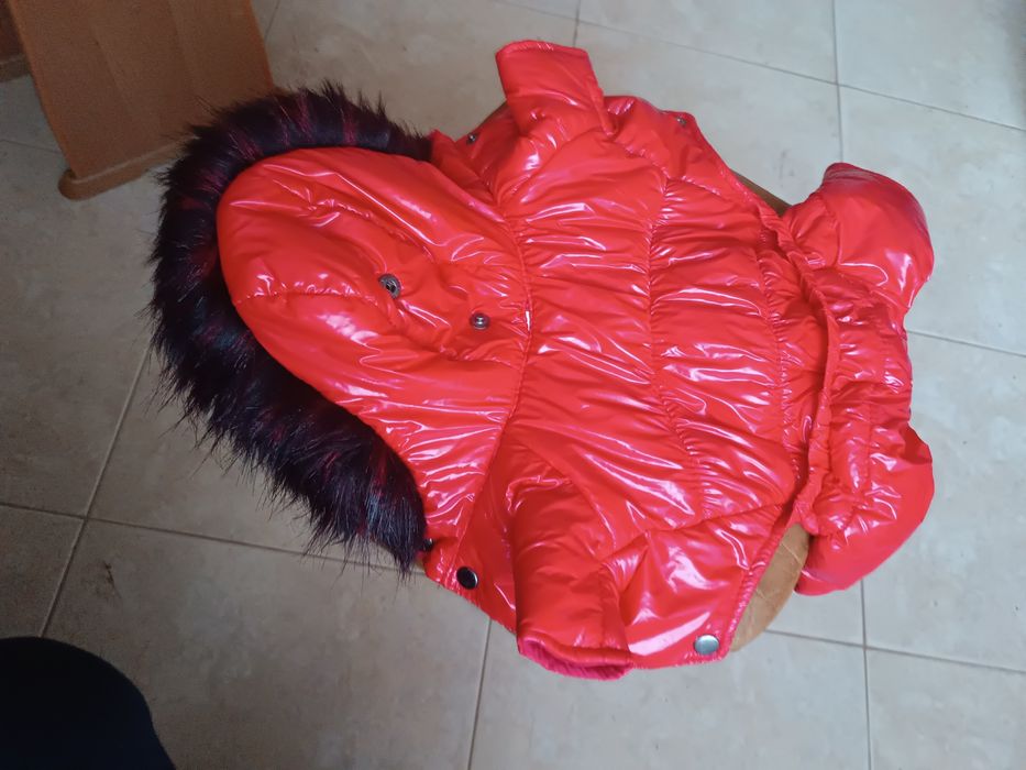 Курточка для собаки "Шпіц". Розм. 2. Демісезонна. Якісна. Тепла