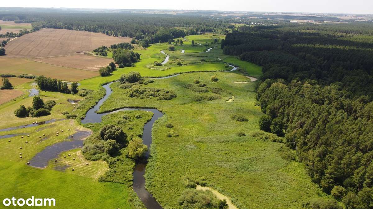 Przestronny , luksusowy  dom  ,Dworek , villa