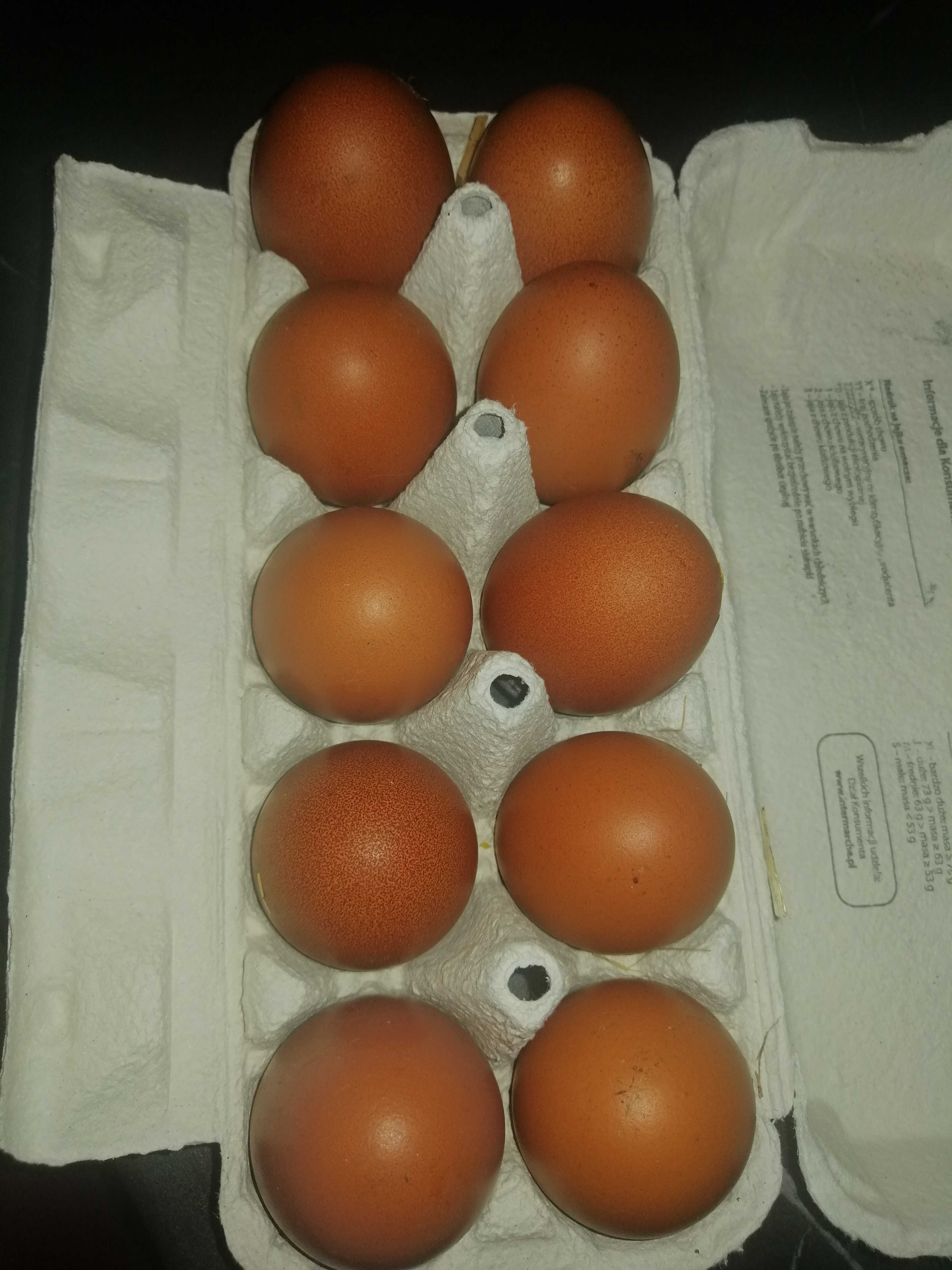 Jajka zalężone MARANS