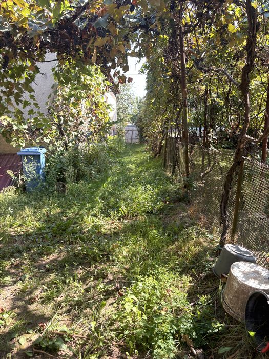 Будинок в селі Чомонин