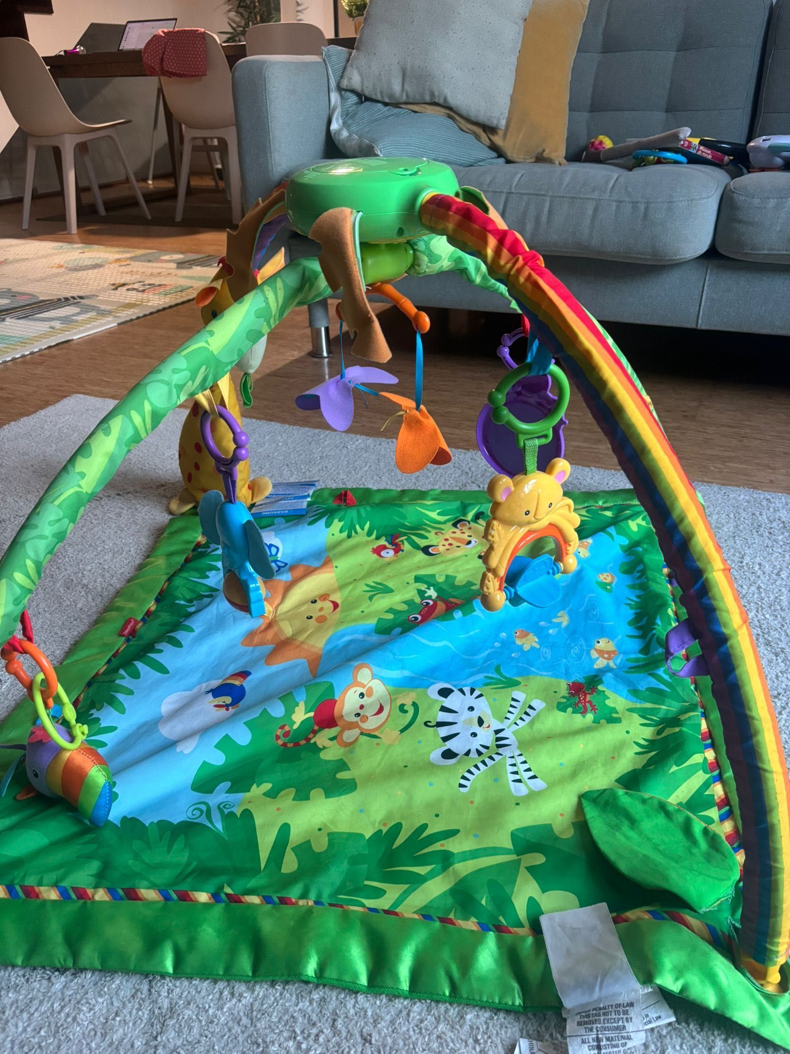 Ginasio bebe Fisher price
