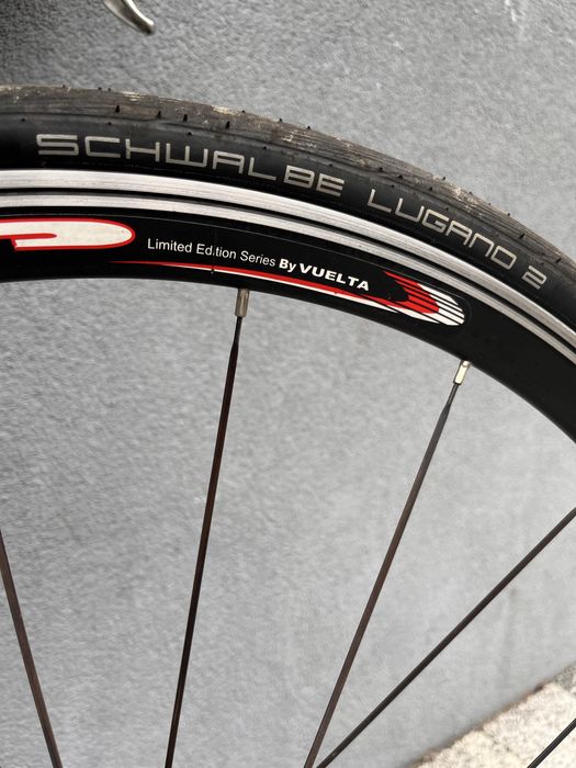 Szosa Windsor Ultegra r.55