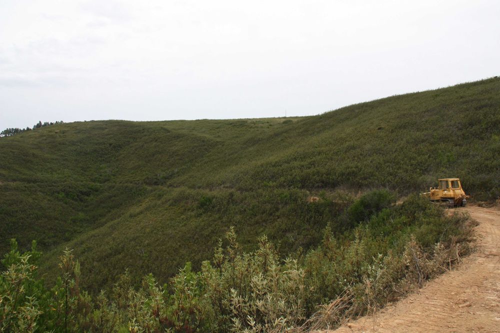 Herdade de 98,6 ha de área e 5 edificações em São teotónio - Odemira