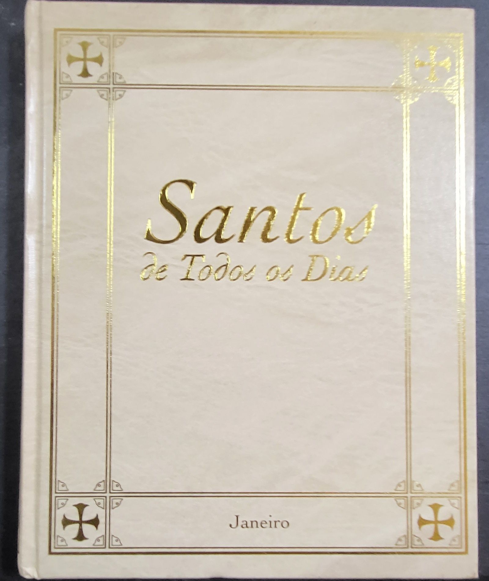 Santos de Todos os Dias 12 Volumes
