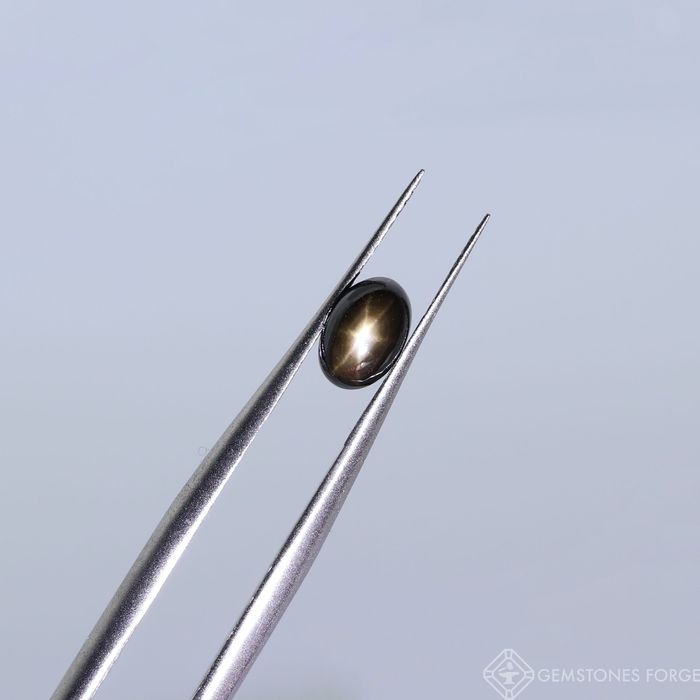 Naturalny czarny Gwiaździsty Szafir, Owal 6 x 4 mm