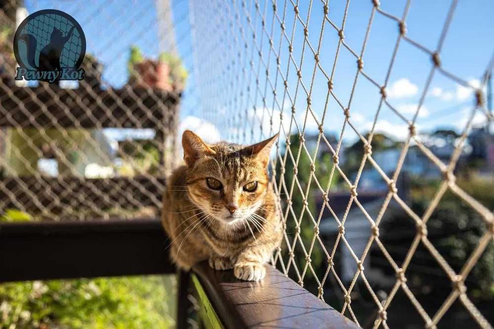 Siatka dla kota, siatka balkonowa, siatka przeciw ptakom, woliera