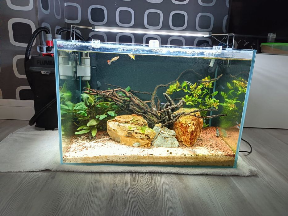 Aquário Extra Claro 100L + Fluval 207