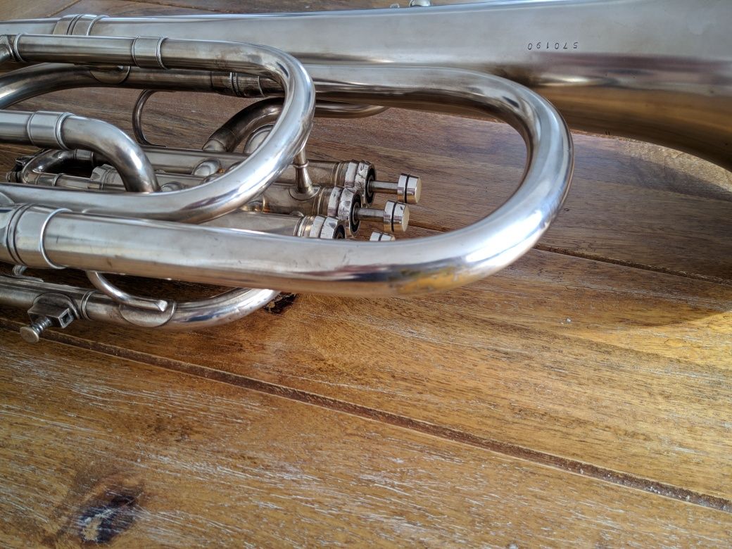 Tenor (Besson New Standard)