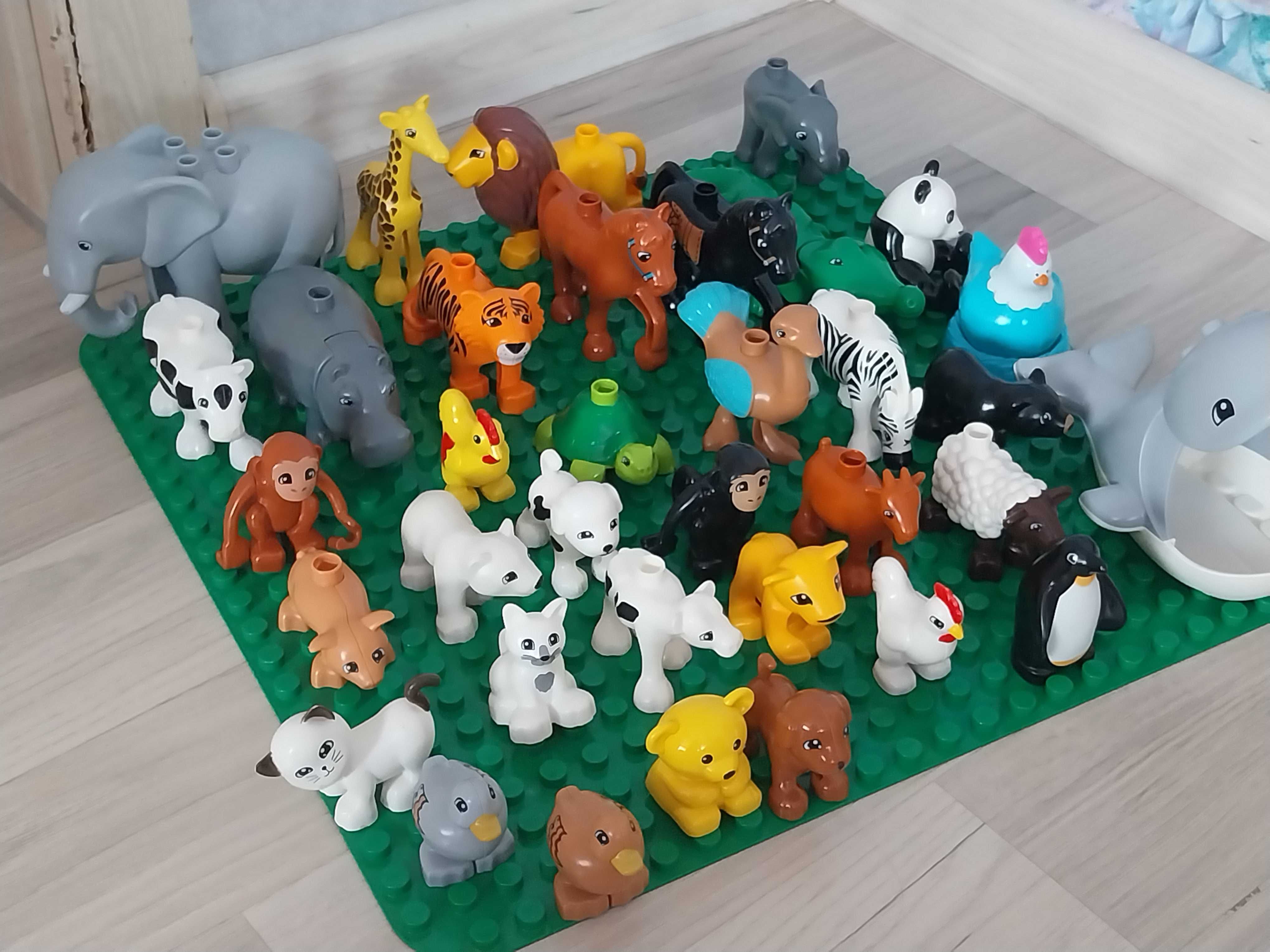 Lego jak Duplo Zwierzęta wielki zestaw