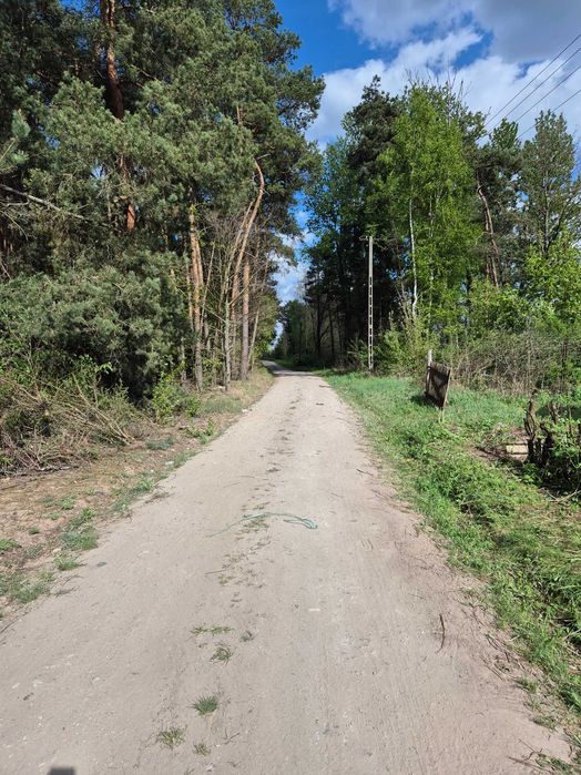 Działka nad rzeką w otoczeniu lasów