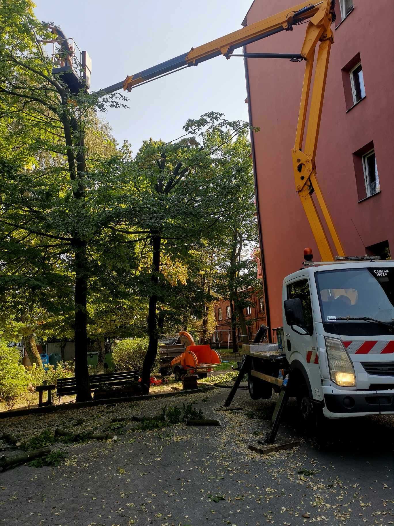 wycinka/przycinka drzew/krzewów , formowanie żywopłotów