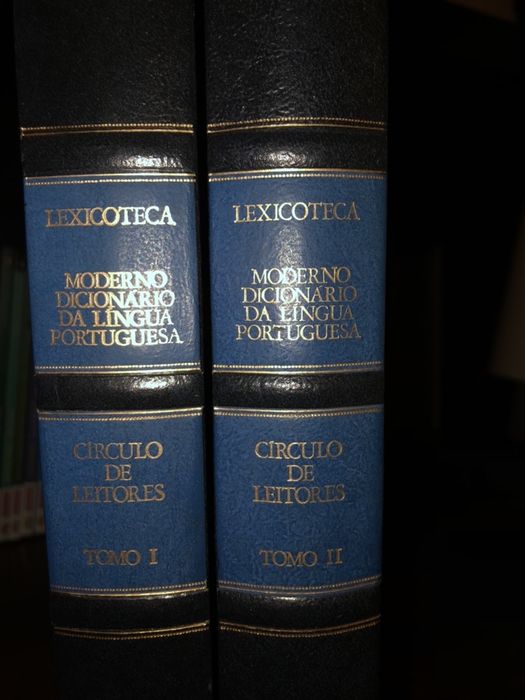 Dicionários de língua Portuguesa