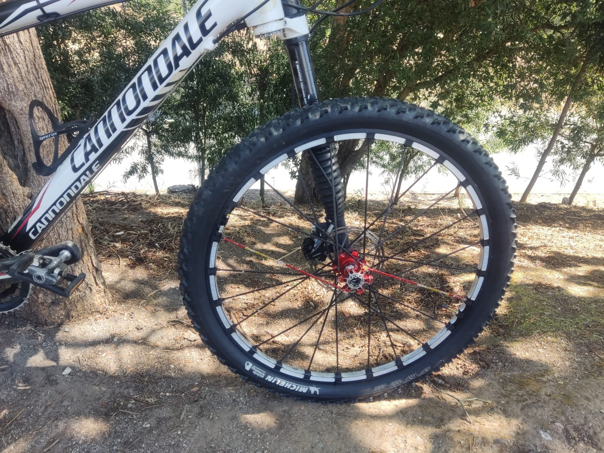 Cannondale carbono lefty e rodas slr
