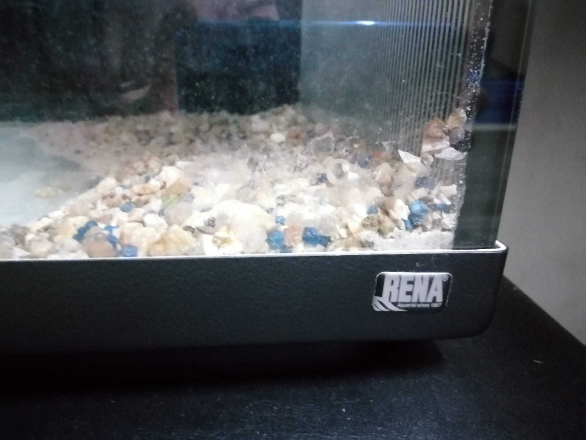 Aquário Rena 117 cm.