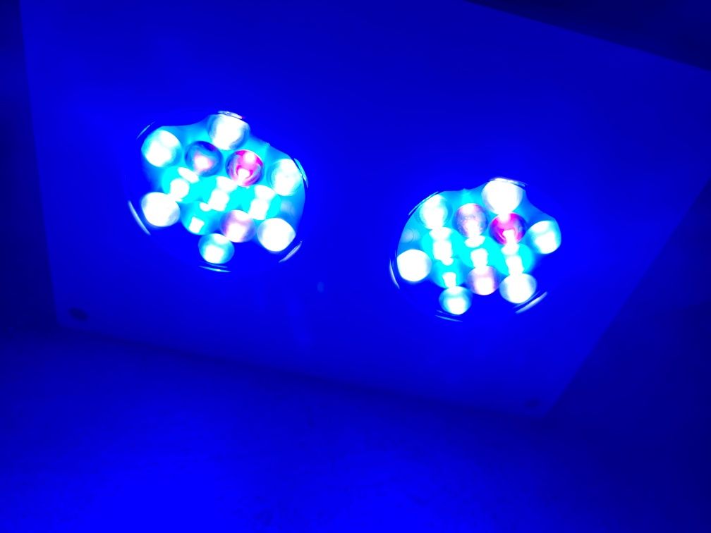 Lampa Hydra 26hd akwarium morskie