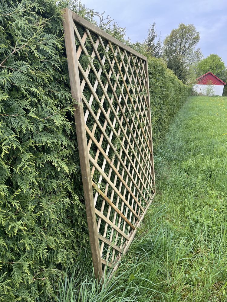 Kratka Diagonalna Do Pnączy, Pergola 180cm x 180cm SOLIDNA RAMA