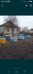 Продам пасіку в селі