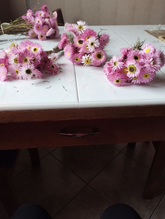 Suchlin kwiaty naturalne suszone