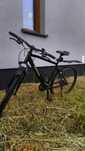 Rower kross evado