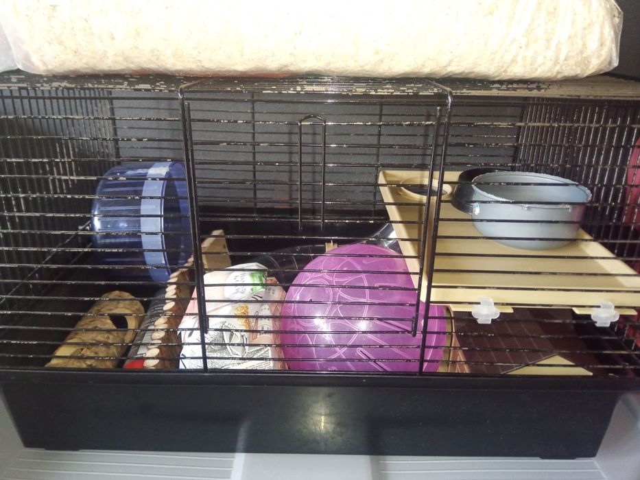 Zestaw startowy dla chomika