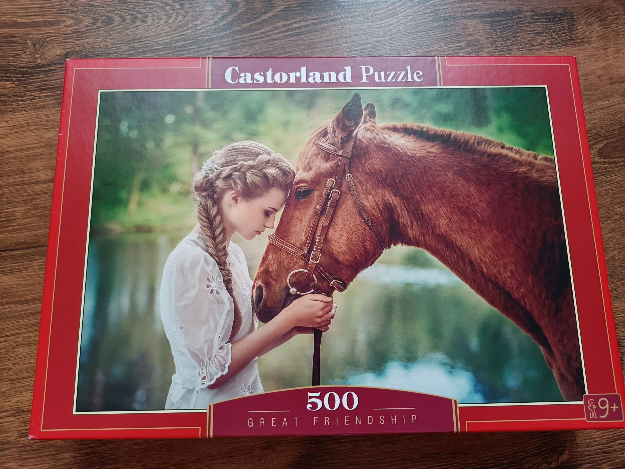 Puzzle puzzle castorland B-52516