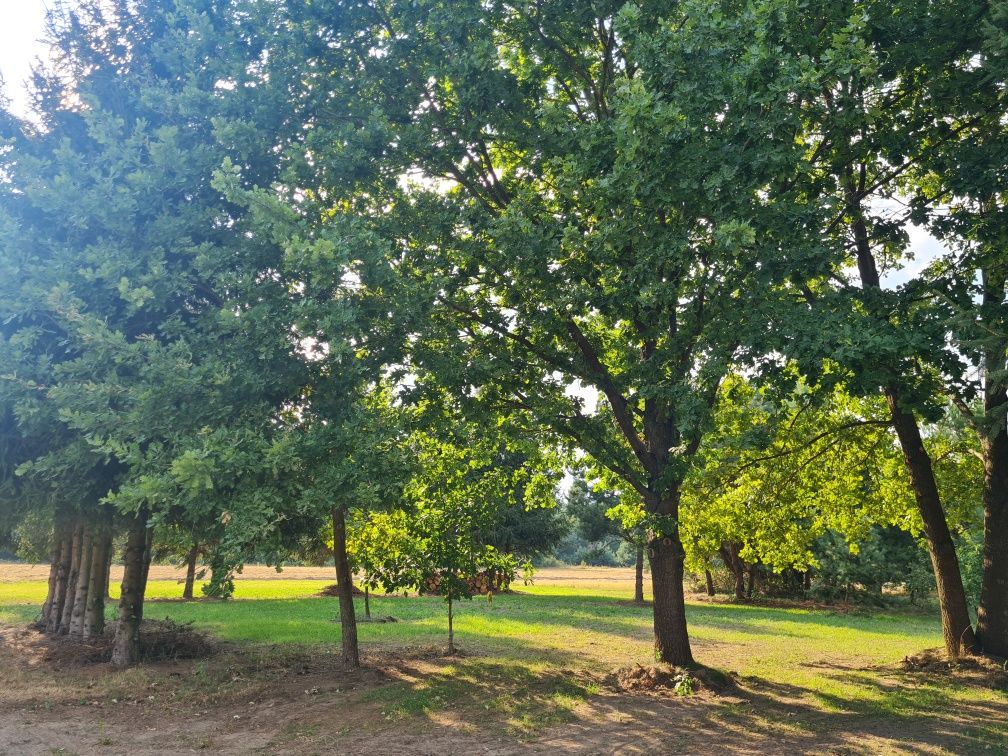 Sprzedam działkę budowlaną 1500m2