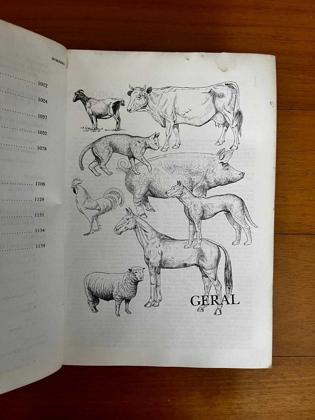 Anatomia dos animais domésticos