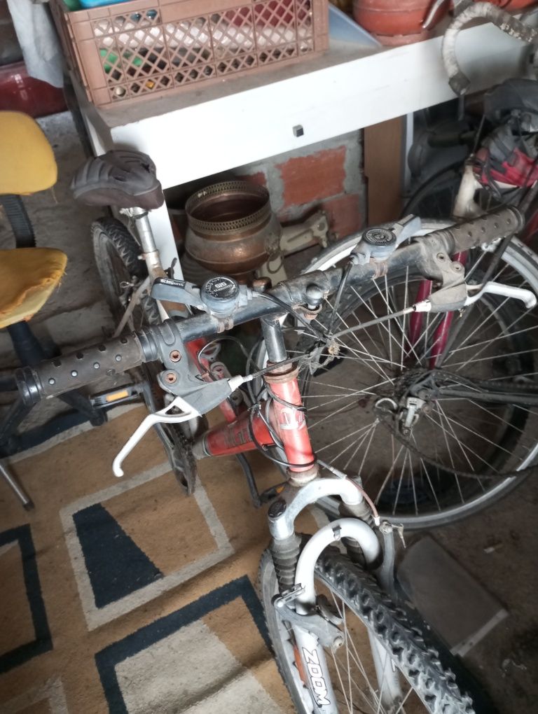 Bicicleta- Bike Zoom