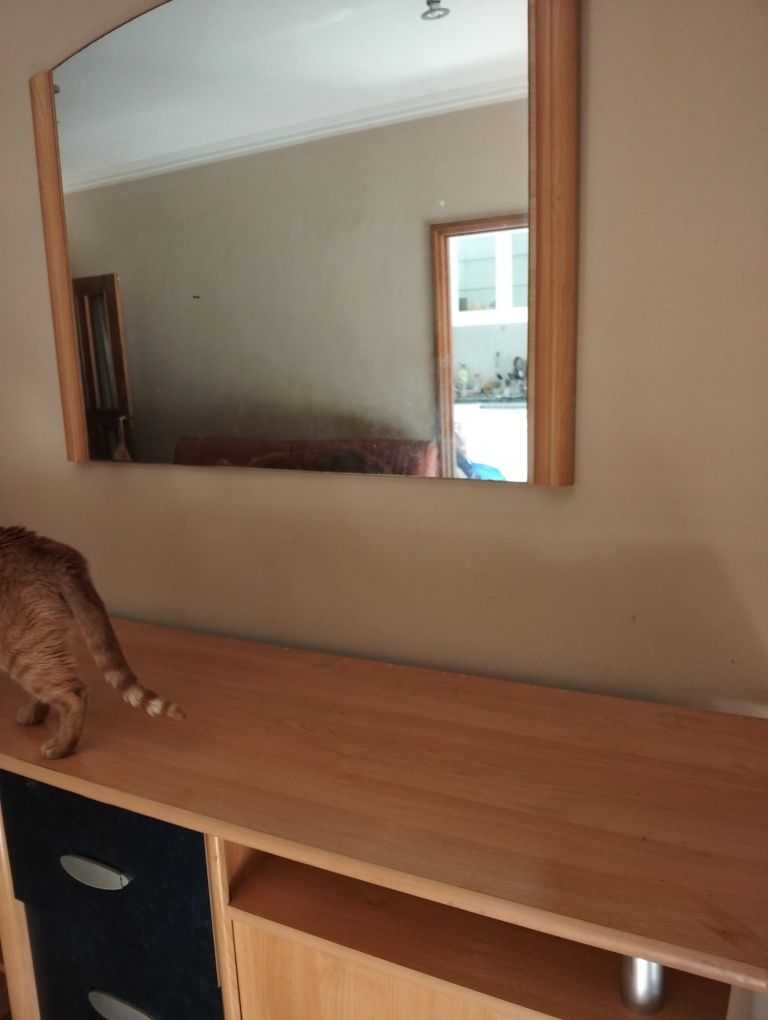 Móvel de Sala e Espelho