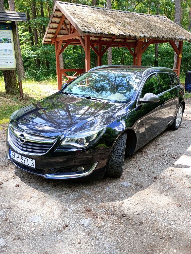 Opel Insignia 2015.
