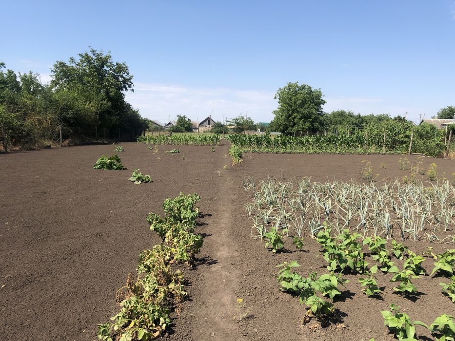 Зайти и жить!Продам отличный дом  ст. Карпово!33 сот!40 мин от Одессы