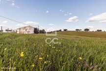 Quinta de  5,575 ha c/ ruína e Viabilidade de Construção até 500m2 | N