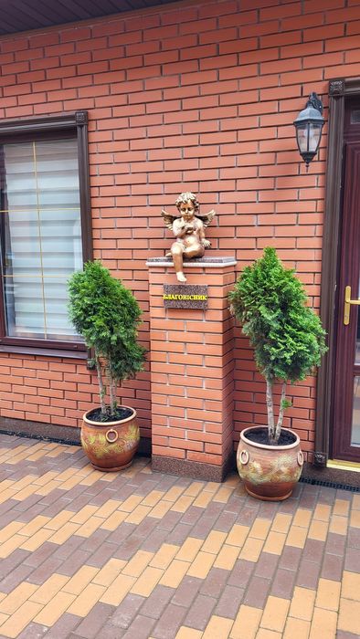 Аренда комерческой недвижимости Киев,Днепровский, Березняки