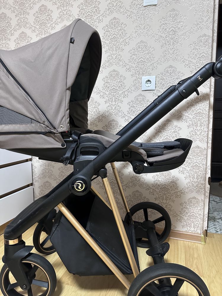 Roan Ivi 2023 Gold Rose